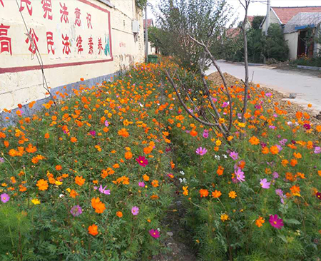 全國(guó)格?；?>
                                </div>
                               
                            </a>
                            <a href=