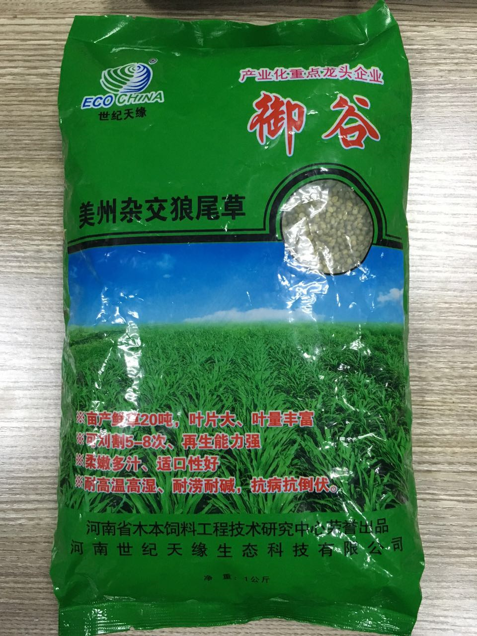 美洲雜交狼尾草—御谷